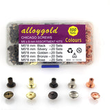 Alloygold Juego de 100 remaches de tornillo para piel de 5/16 pulgadas en 5 colores Chicago Screw Remaches para bricolaje, bolsos, cinturones, encuadernación, álbumes de fotos y zapatos (M5 x 8 negro, plateado, dorado, cobre y oro rosa)