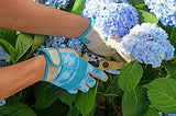 DIGZ Gardener - Guantes de trabajo y guantes de trabajo para mujer con pantalla táctil compatible con dedos