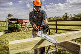 Stihl - Sierra de cadena de hierro fundido MS-250 con barra de 50.8 centímetros.