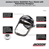 Protector facial con casco de trinquete, tinte transparente, revestimiento antivaho, negro, 14220