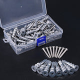 hilitchi 100pcs Calidad Premium Zinc self-drilling Anchor para yeso con Kit de tornillos