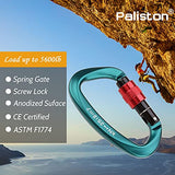 Paliston Mosquetones de Escalada con Seguro 25kN Mosquetón de Escalada Certificado CE Mosquetón en Forma de D Verde 3pcs