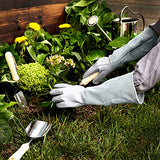 AmazonBasics Leather Gardening Gloves with Forearm Protection, Natural, L