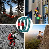 Paliston Mosquetones de Escalada con Seguro 25kN Mosquetón de Escalada Certificado CE Mosquetón en Forma de D Verde 3pcs